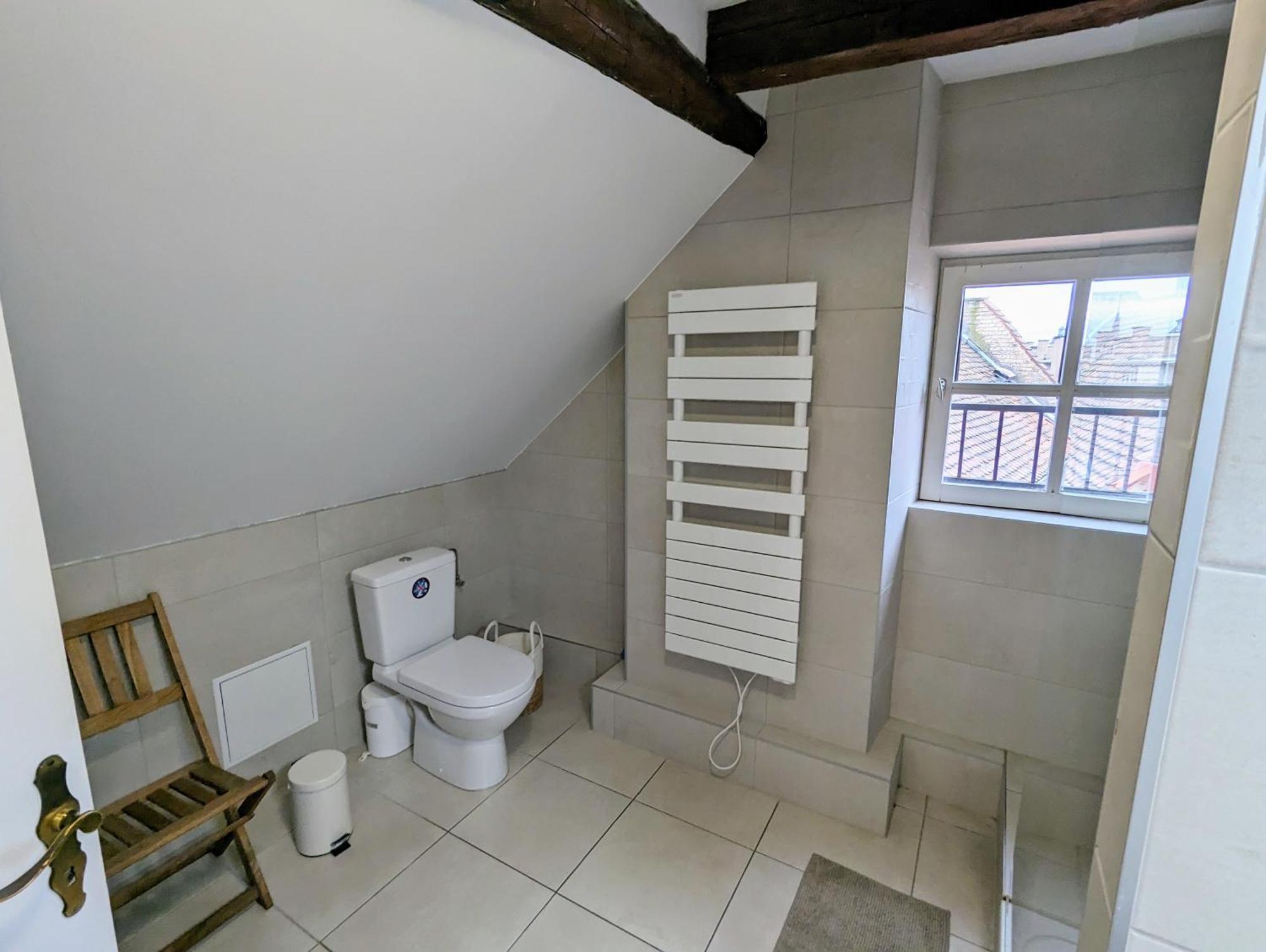Appartement Des Serruriers Strasbourg Ngoại thất bức ảnh