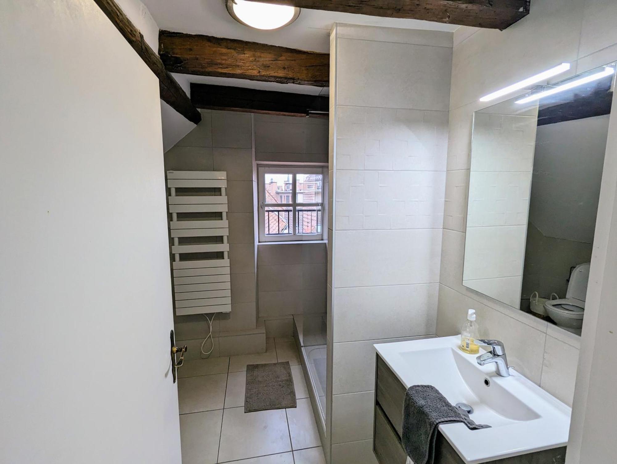 Appartement Des Serruriers Strasbourg Ngoại thất bức ảnh