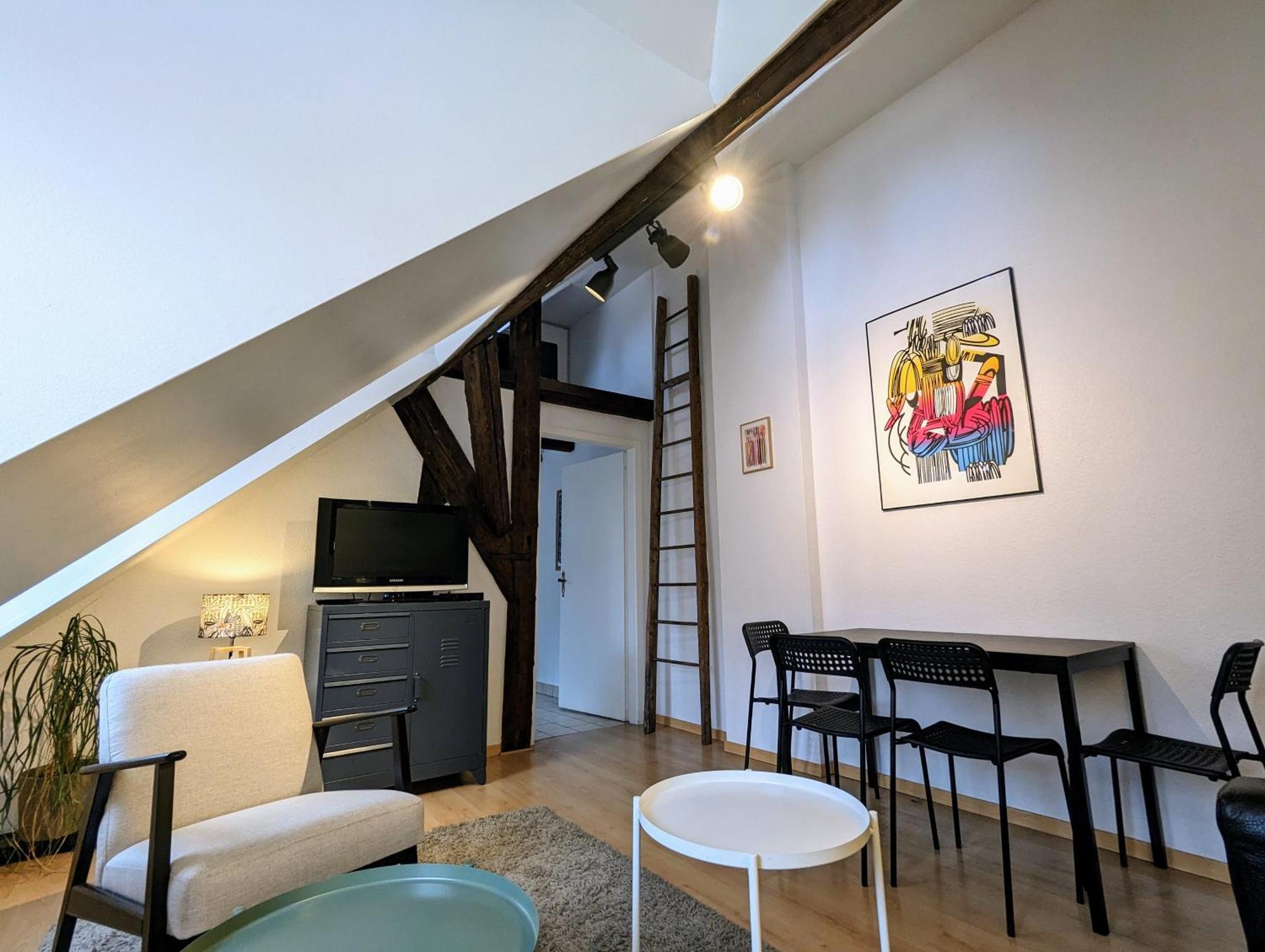 Appartement Des Serruriers Strasbourg Ngoại thất bức ảnh