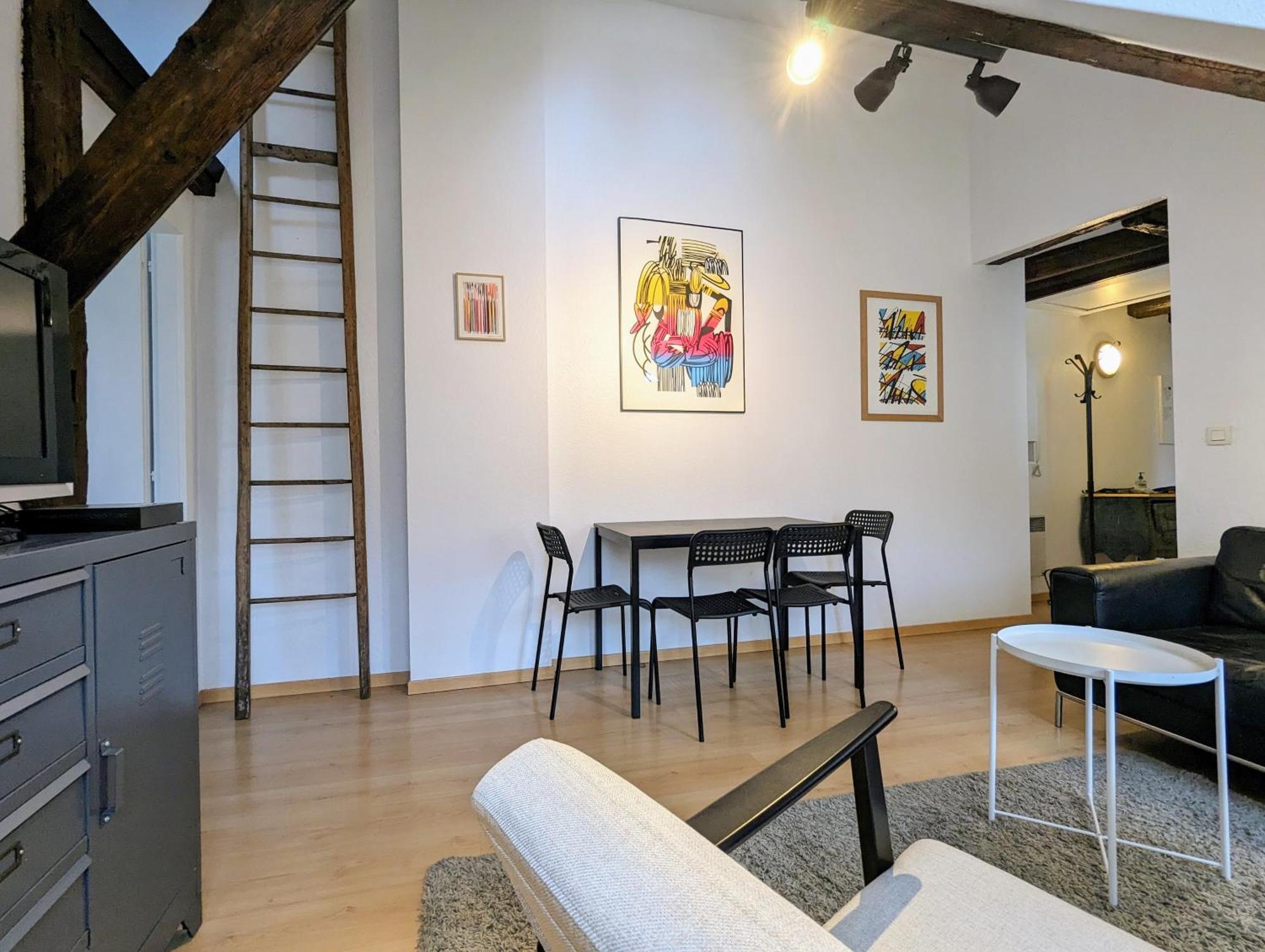 Appartement Des Serruriers Strasbourg Ngoại thất bức ảnh
