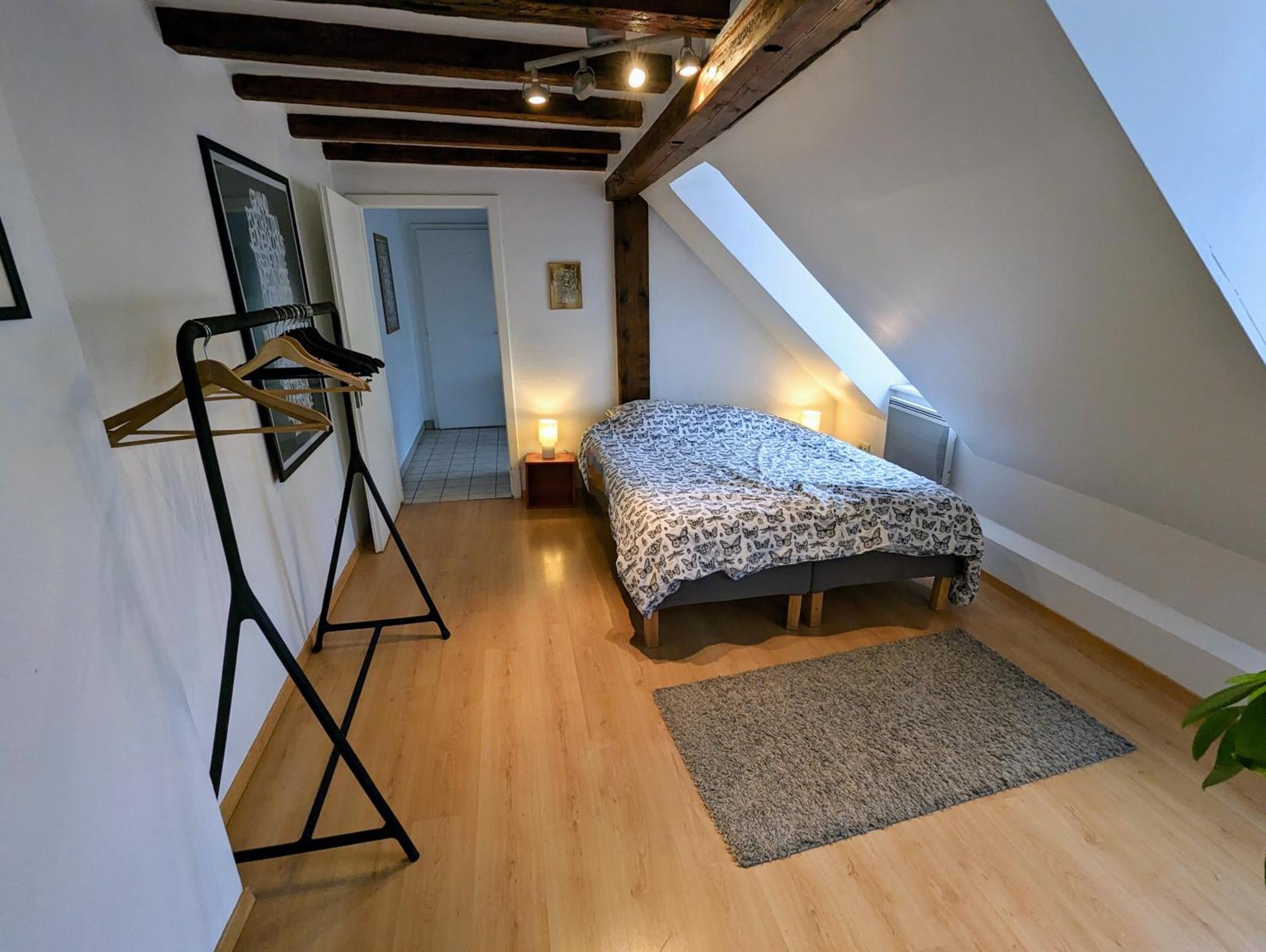 Appartement Des Serruriers Strasbourg Ngoại thất bức ảnh