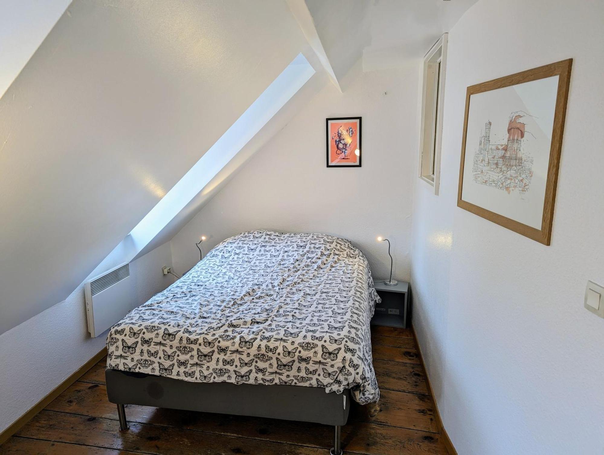Appartement Des Serruriers Strasbourg Ngoại thất bức ảnh
