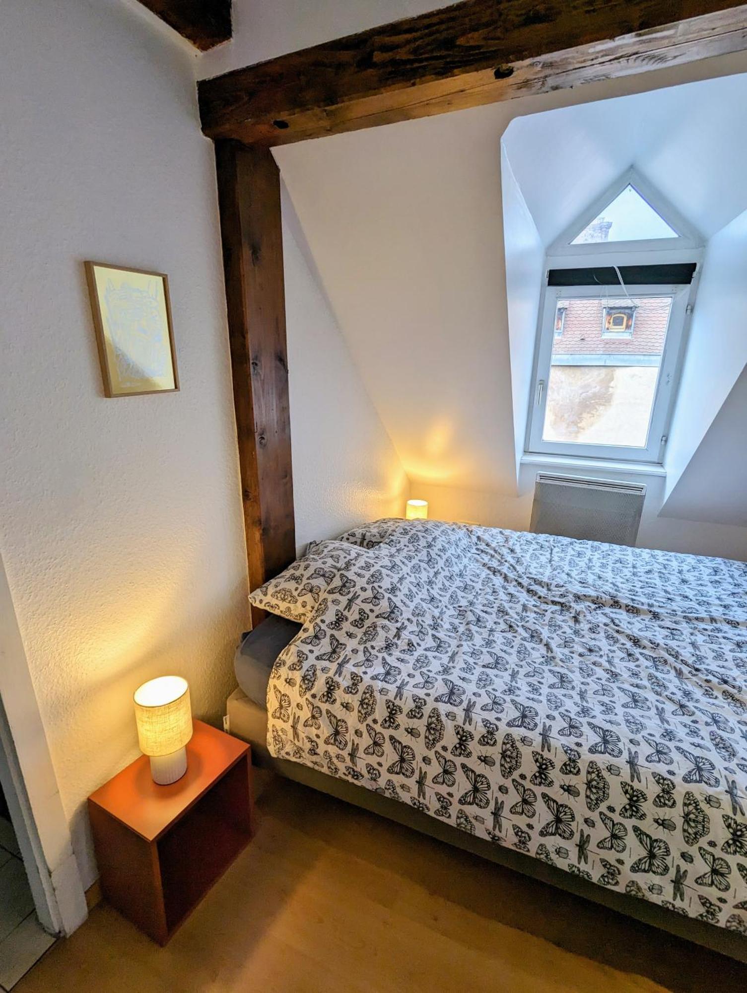 Appartement Des Serruriers Strasbourg Ngoại thất bức ảnh