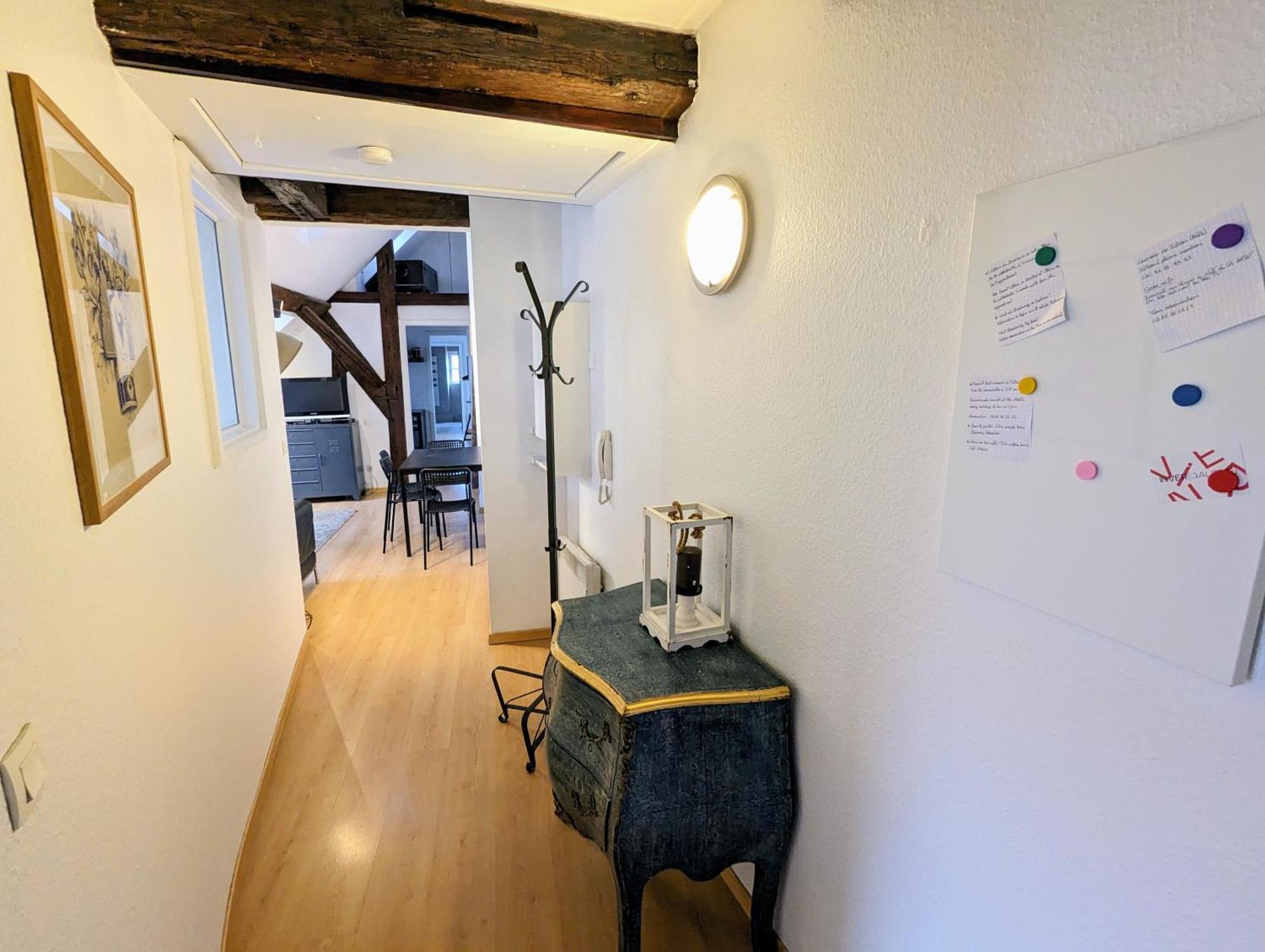 Appartement Des Serruriers Strasbourg Ngoại thất bức ảnh