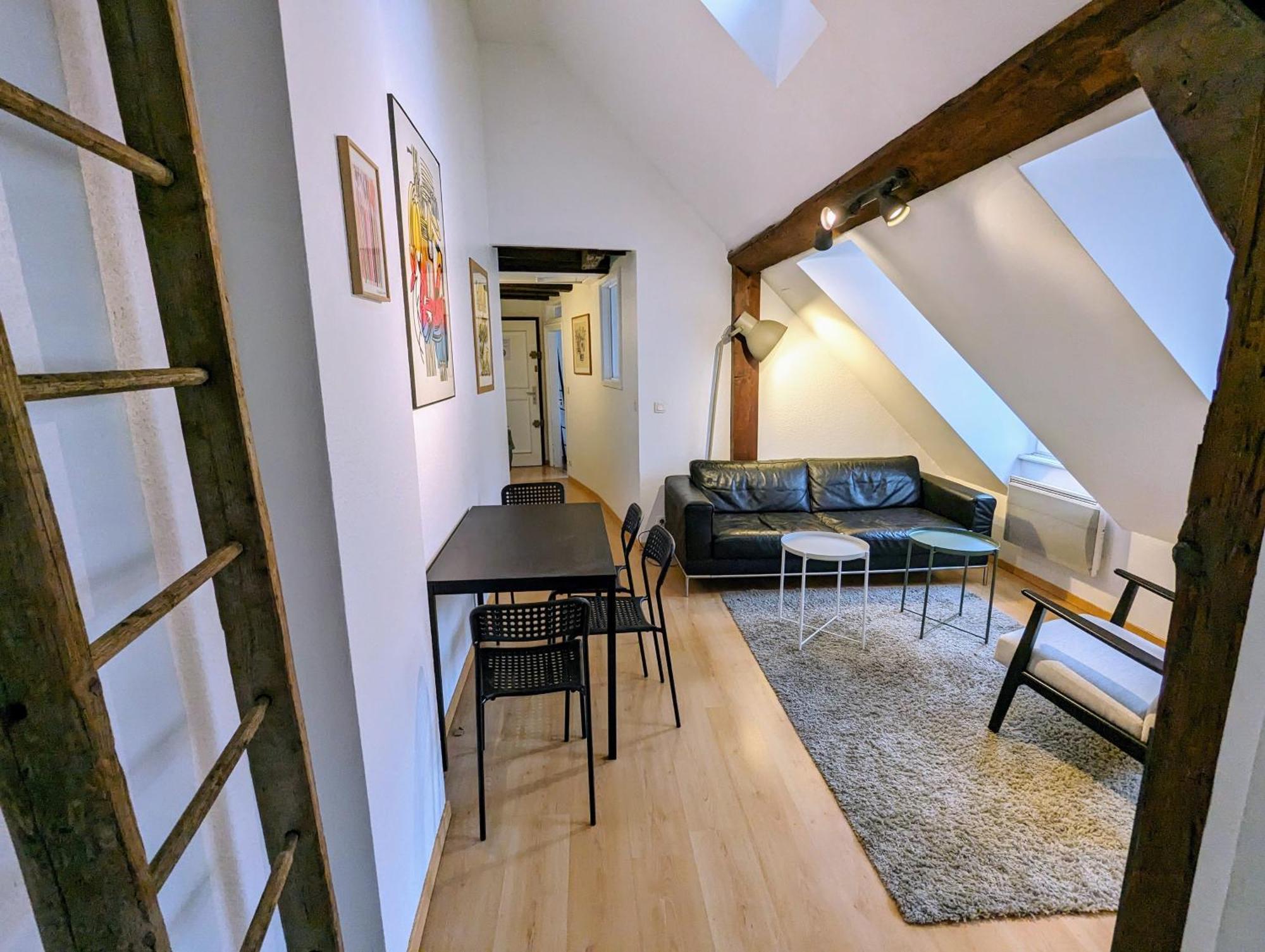 Appartement Des Serruriers Strasbourg Ngoại thất bức ảnh
