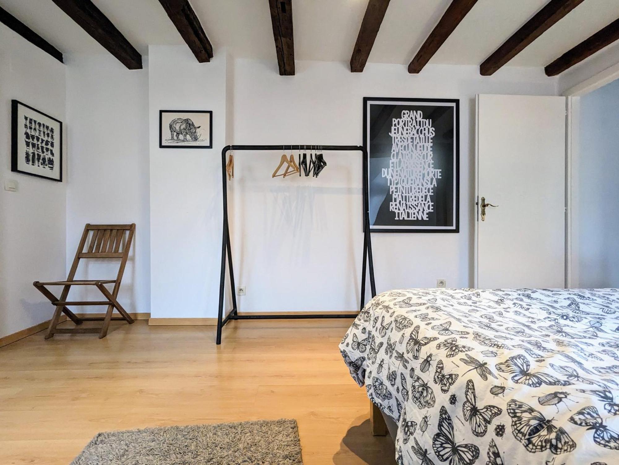 Appartement Des Serruriers Strasbourg Ngoại thất bức ảnh