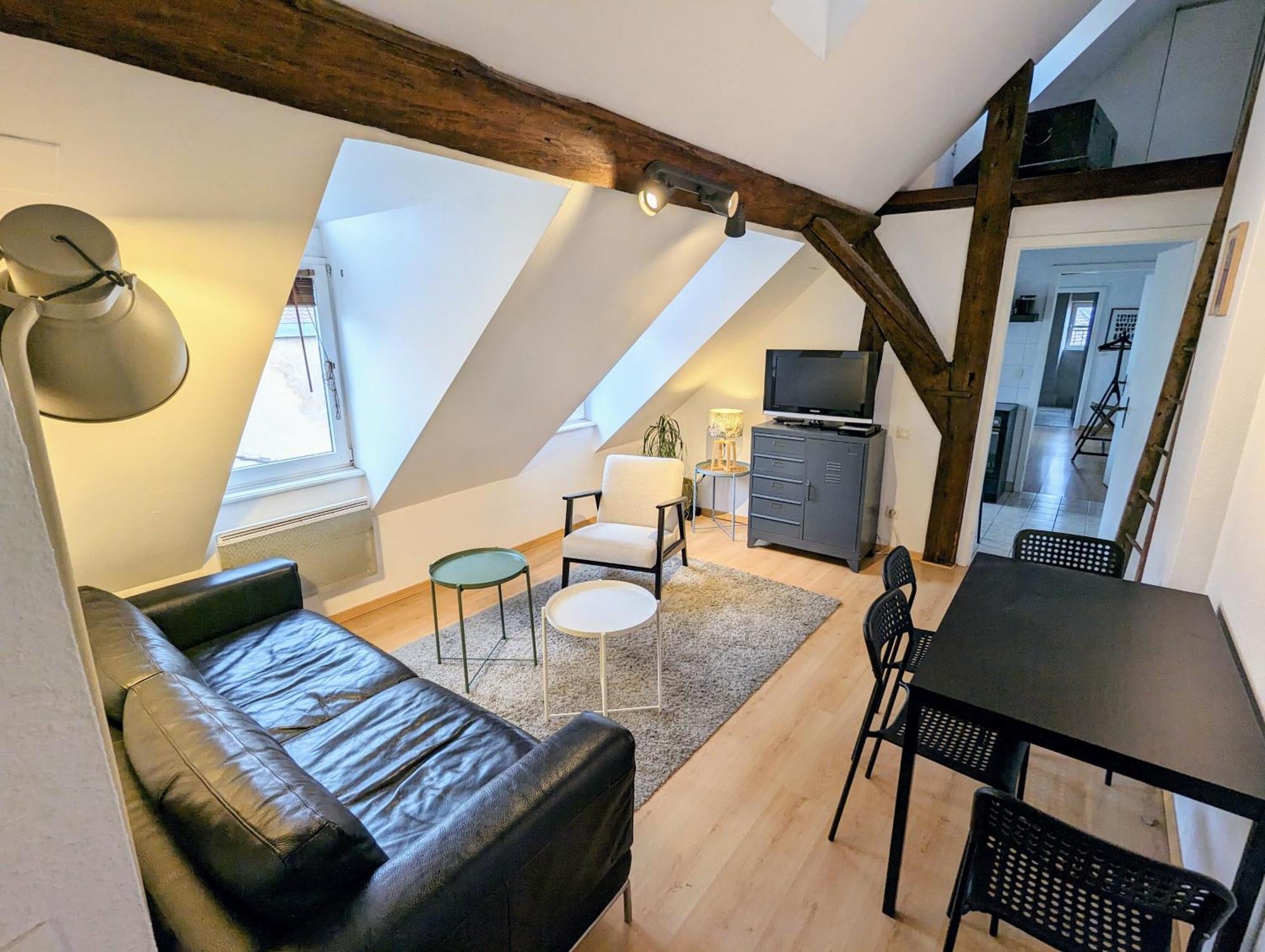 Appartement Des Serruriers Strasbourg Ngoại thất bức ảnh